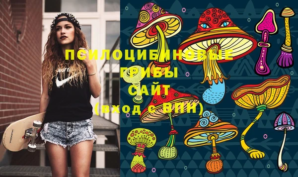 крисы Белоозёрский