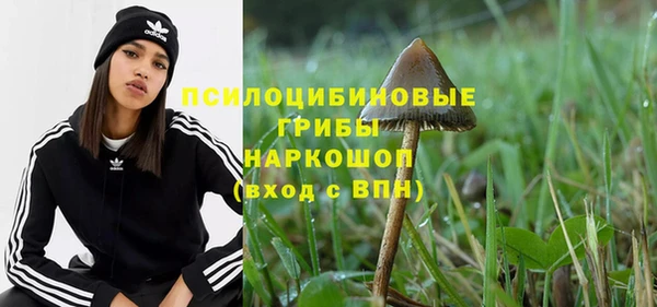 крисы Белоозёрский