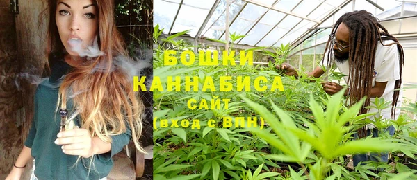 молекула духа Балахна